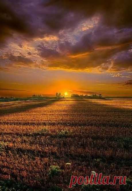 sunrise Search on Indulgy.com