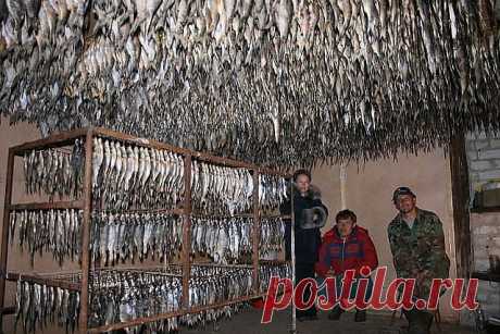 (40) Одноклассники