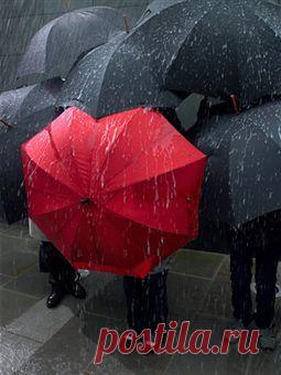 Karen приколол(а) это к доске I Wish It Would Rain