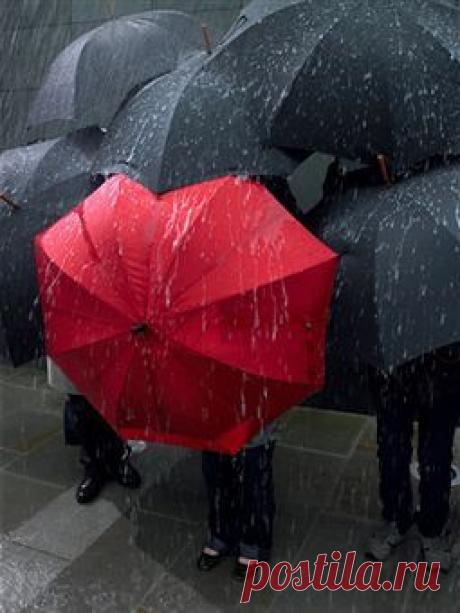 Karen приколол(а) это к доске I Wish It Would Rain