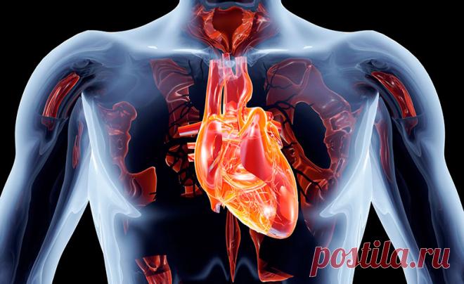 5 познавательных фактов о внутренних органах человека