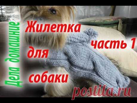 Жилетка для собаки.Как связать жилетку для собаки своими руками.Часть 1.