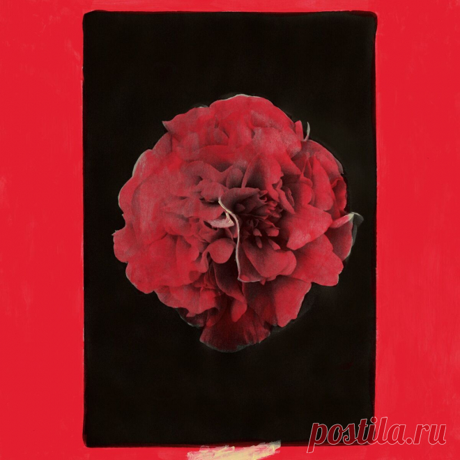 Activity - A Thousand Years In Another Way (2025) 320kbps / FLAC