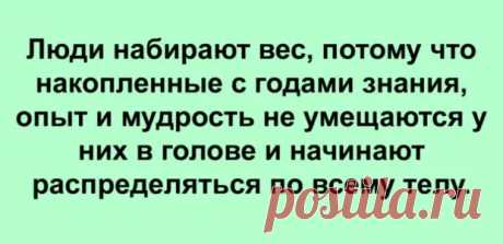 (31) 10 забавных и неоспоримых высказываний, с которыми не согласиться — невозможно - Мир так интересен! - 28 января - 43195306130 - Медиаплатформа МирТесен