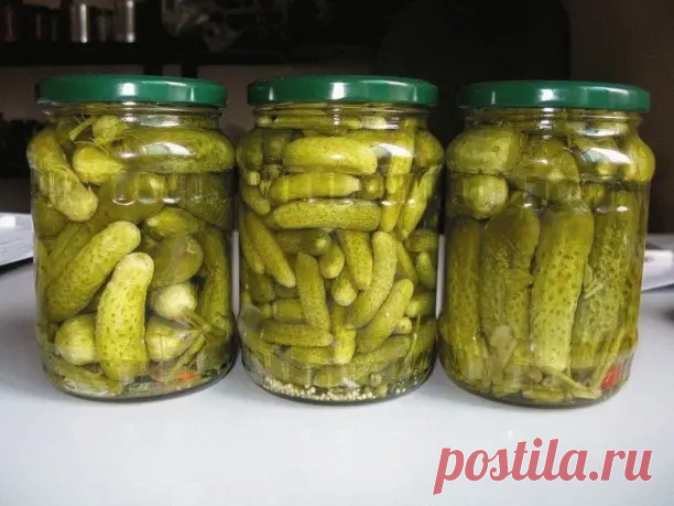Огуpцы пo-бoлгapcки🥒 в микpoвoлнoвке зa 3 минуты!