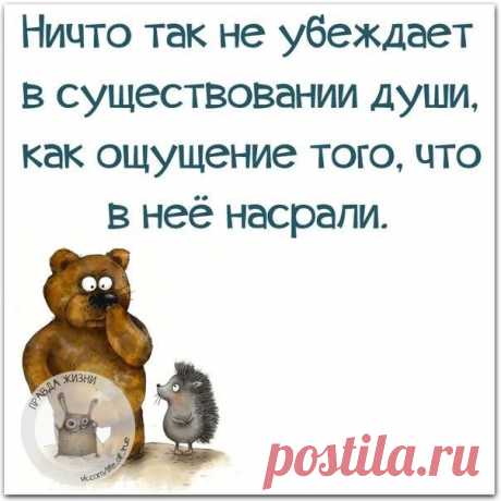 Новости