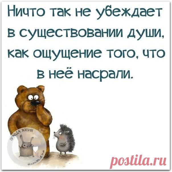 Новости