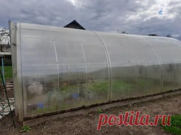 Как прогреть землю в теплице на 2 недели раньше: простой метод с пластиковыми бутылками. Опытные дачники нашли способ ускорить процесс без лишних затрат. Речь идет о пластиковых бутылках, наполненных водой.