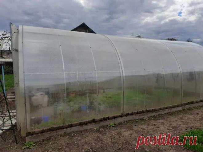 Как прогреть землю в теплице на 2 недели раньше: простой метод с пластиковыми бутылками. Опытные дачники нашли способ ускорить процесс без лишних затрат. Речь идет о пластиковых бутылках, наполненных водой.