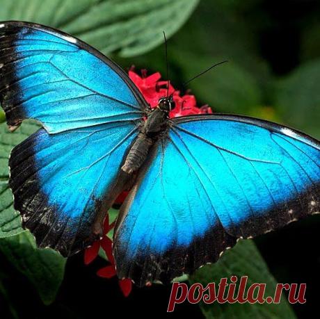 Ayşegül Gök – Google+