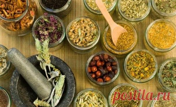 9 Трав от бессоницы