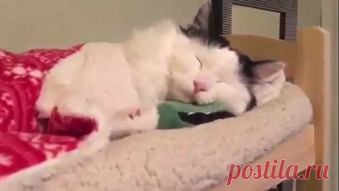 Чудо-коробочка с сюрпризом своими руками