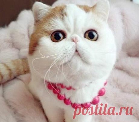 С Добрым Утром! Отличного настроения Вам, Друзья :-)