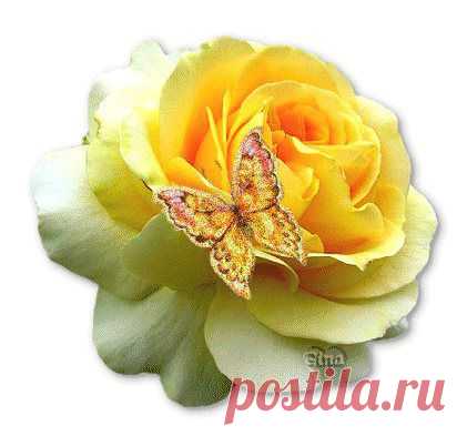 ффф