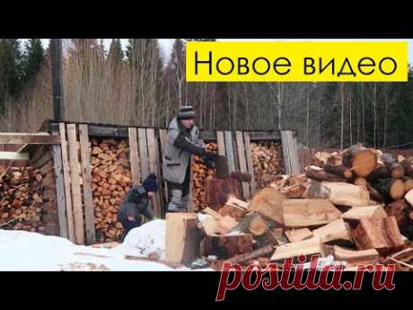 Мы скучали! Что нового в саду? Рассада, покупки одежды Максиму, коррекция зрения Алине Femto Lasik