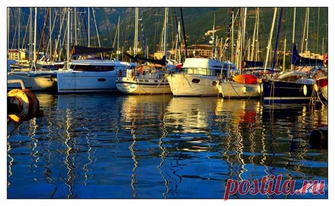 (3) Facebook