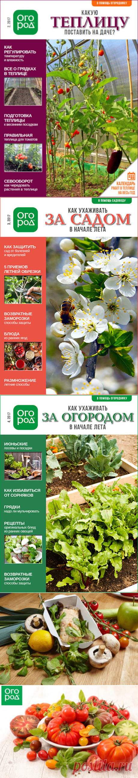 Ваш бонус за подписку на рассылку от Огород.ru - danute.marcinkiene@gmail.com - Gmail