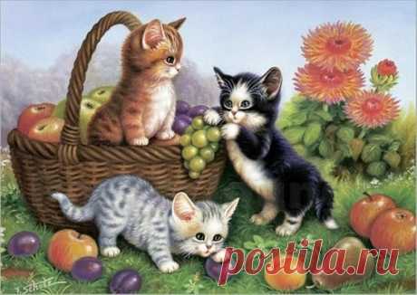 Кошки, коты, котята...Картинки для декупажа.