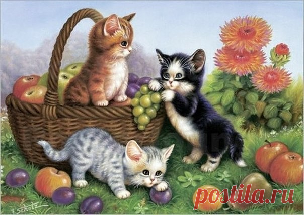 Кошки, коты, котята...Картинки для декупажа.