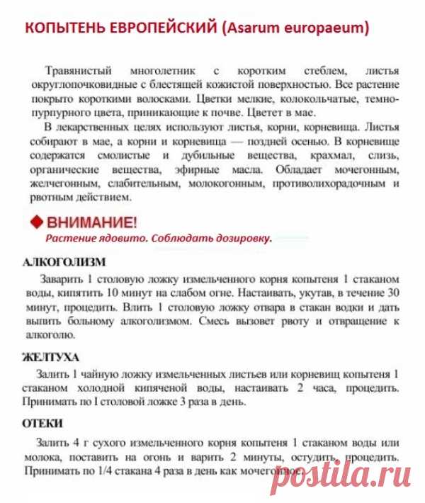 Копытень европейский.
Травник. Золотые рецепты народной медицины. Универсальный справочник. Москва 2007