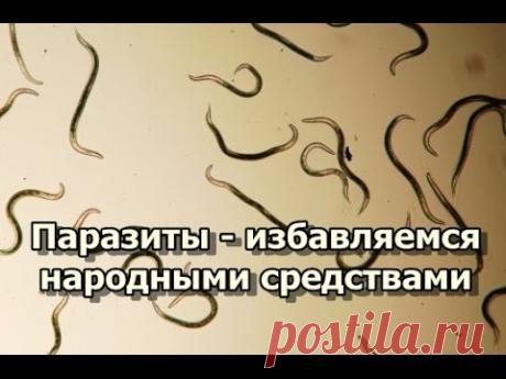 Паразиты - избавляемся народными средствами