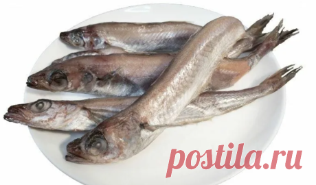Дешевле просто нет. Три вкусные морские рыбы доступные сегодня пенсионерам | ПОДСЛУШАНО СЕКРЕТЫ РЫБОЛОВА | Дзен