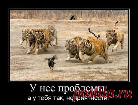 Сохранённые фотографии | 115 фотографий
