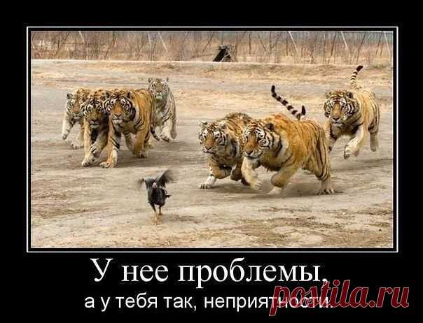 Сохранённые фотографии | 115 фотографий