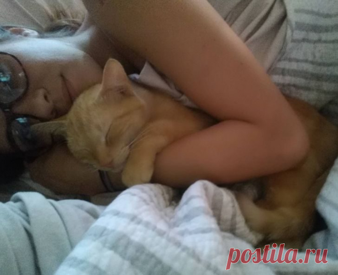 Тёплые обнимашки, как лучшая профилактика осенней хандры / Питомцы