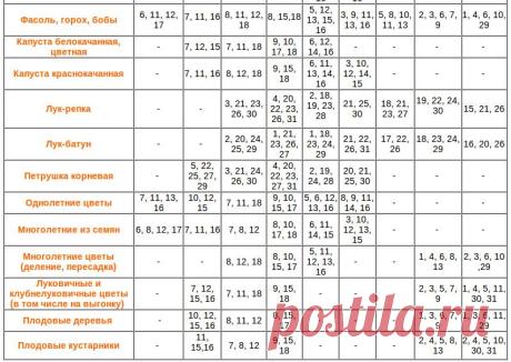 Посевной календарь на 2019 год: таблица благоприятных лунных дней для посадки огородных растений на каждый месяц