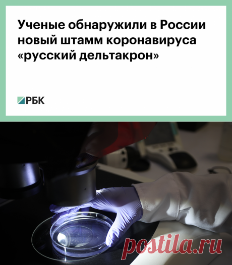 11-8-22-ОМИКРОН-Ученые обнаружили в России новый штамм коронавируса «русский дельтакрон» — РБК