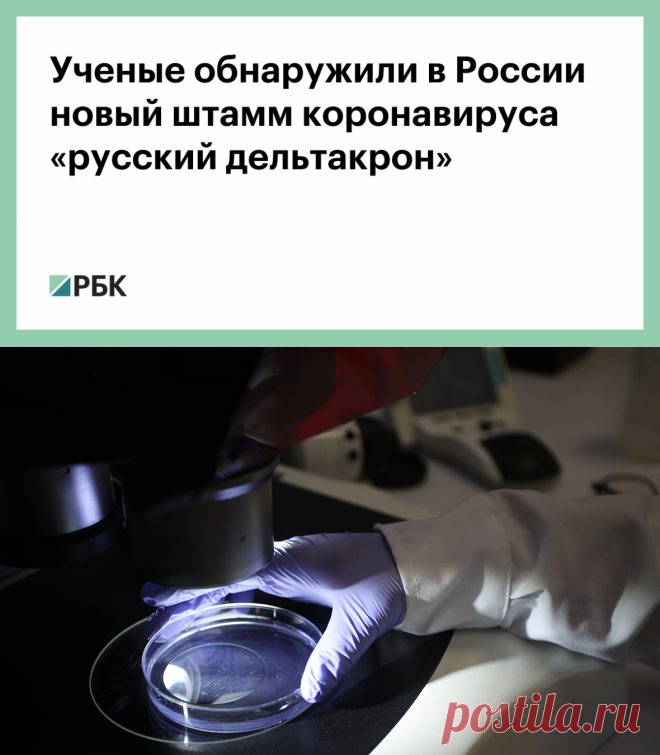 11-8-22-ОМИКРОН-Ученые обнаружили в России новый штамм коронавируса «русский дельтакрон» — РБК