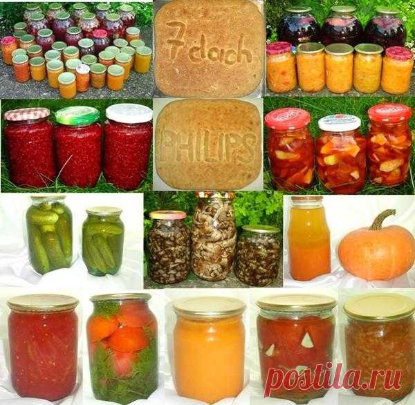 Заготовки на зиму: 15 интересных рецептов. Бонус - рецепт вкусного пирога
