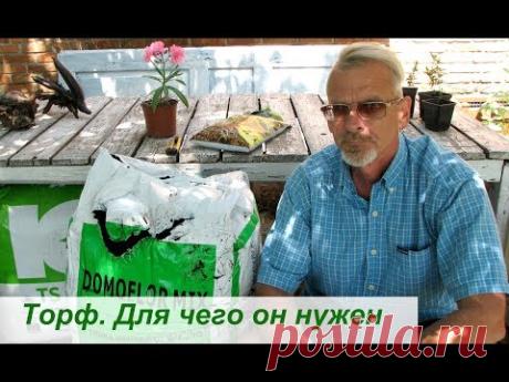 Удобрение торфом осенью: верховым, низинным, какие отличия для почвы