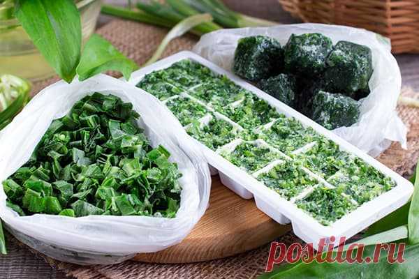 Можно ли замораживать зеленый лук в морозилке на зиму: плюсы и минусы заморозки