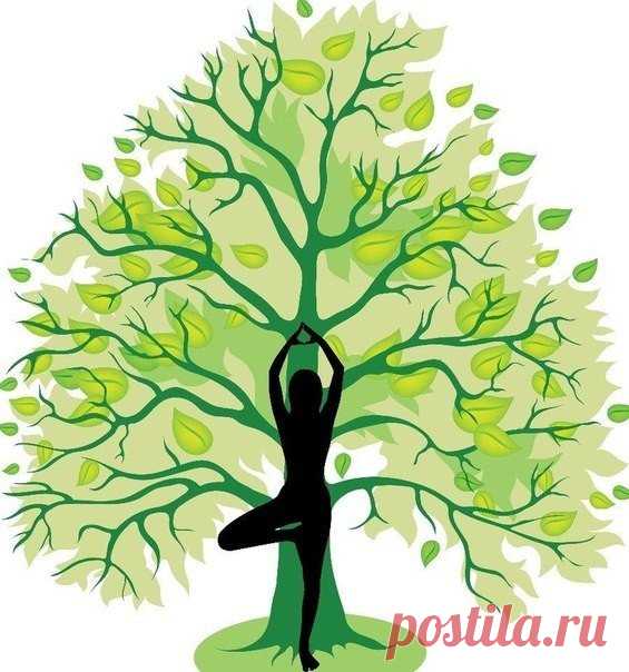 КАК ПОМОЧЬ СЕБЕ ВЫЗДОРОВЕТЬ... 
Ученые доказали, что только радостные и светлые чувства делают нас здоровыми. Мы продолжаем наш разговор о положительных установках, которые способны изменить жизнь к лучшему. О позитивном мышлении б…