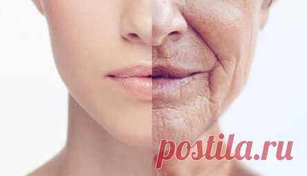 Как прокачать свой мозг, чтобы замедлить старение?