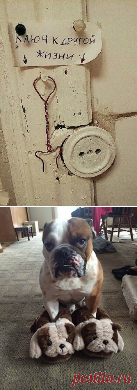 Приколы на фото