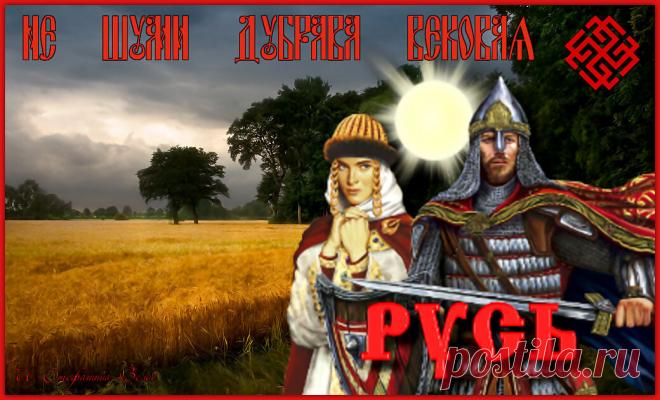 Не шуми, дубрава вековая. Ирина Стефашина. Стихи о Руси Коллаж авторский
Не шуми, дубрава вековая,
С буйными ветрами слез не лей
О сынах, что славу добывая,