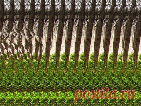 Стереокартинки. (Продолжение 6) / Фотошоп и я.