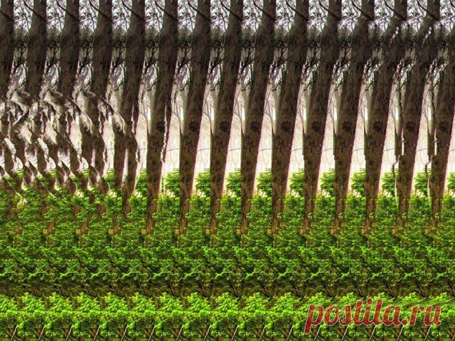 Стереокартинки. (Продолжение 6) / Фотошоп и я.