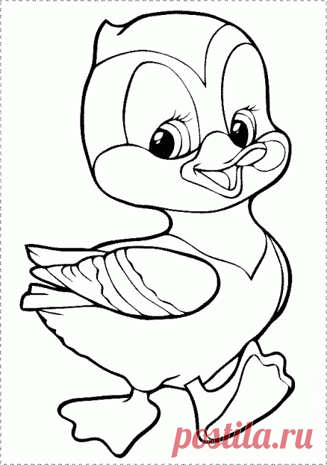 Картинка раскраска утенок