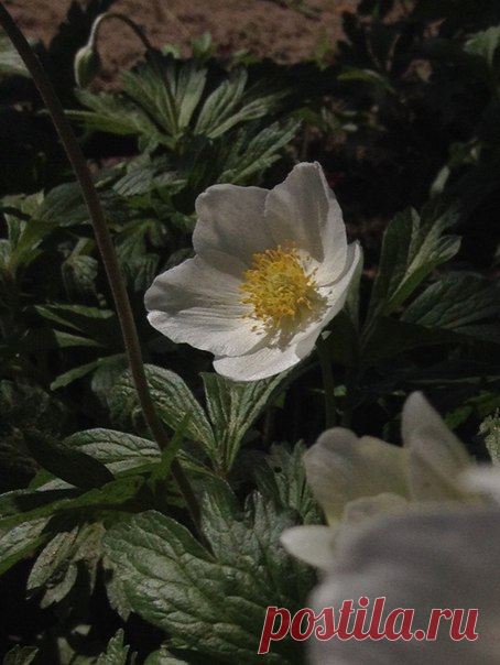 Добрый вечер! ♥