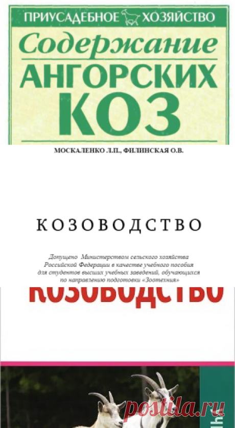 Содержание ангорских коз - Бондаренко С.П.