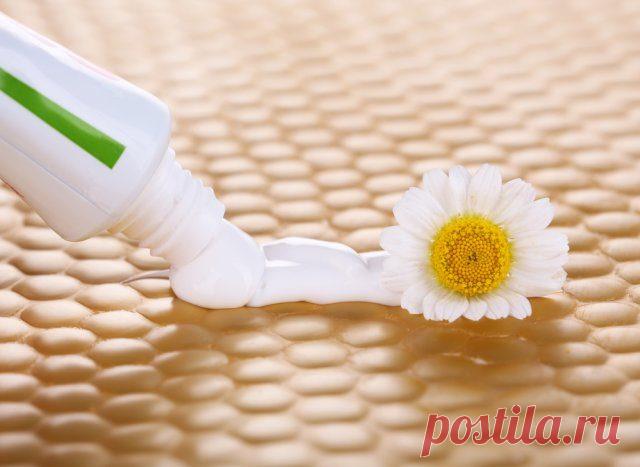 Применение зубной пасты в саду и огороде / Домоседы