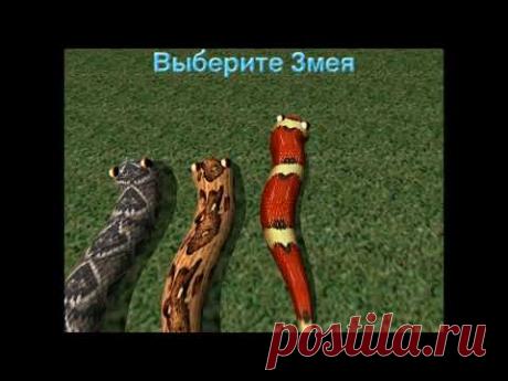 Большой змей - Обзорное видео