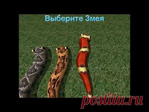Большой змей - Обзорное видео