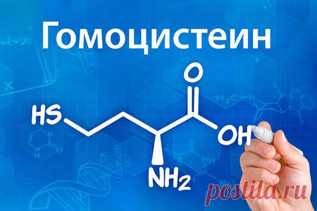 Почему важно контролировать уровень гомоцистеина
Уровень гомоцистеина в крови позволит выявить нехватку витаминов В12, В6, фолиевой кислоты и определить риски сердечно-сосудистых проблем или наличие редкого наследственного недуга — гомоцистинурии. Какие симптомы связаны с повышением показателя гомоцистеина?          Гомоцистеин представляет собой аминокислоту, которая содержится в каждой клетке...
Читай пост далее на сайте. Жми ⏫ссылку выше