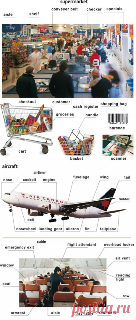 Английский в бытовых условиях. Учим новую лексику,... / Неформальный Английский