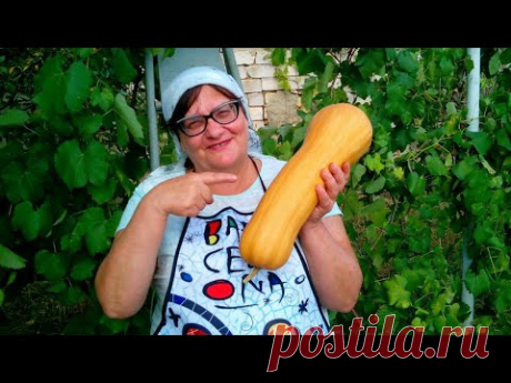 Салат из ТЫКВЫ. Готовим быстро и вкусно!